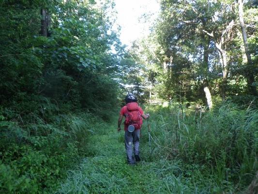 f0187402_18353354.jpg