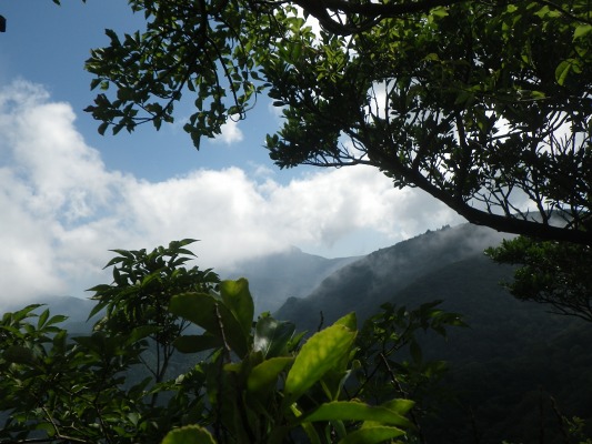 f0187402_18361471.jpg