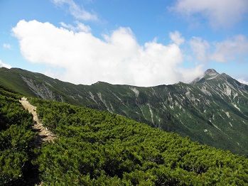 d0032405_19561445.jpg