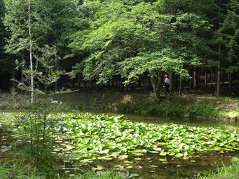 c0173813_17502939.jpg