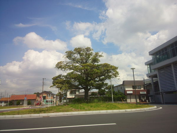 d0194120_15241787.jpg