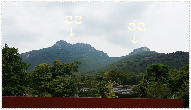 a0115924_23195190.jpg