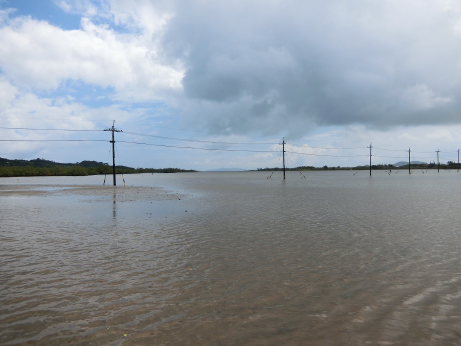 c0142326_91357.jpg