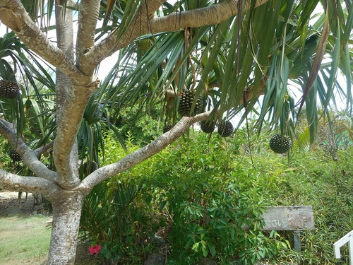 c0142326_9554890.jpg