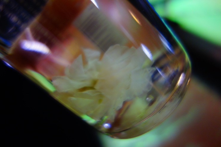 a0287336_1993445.jpg