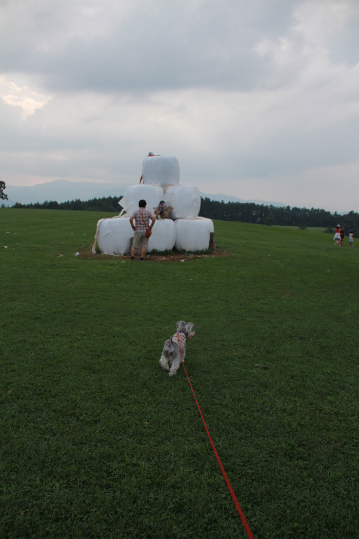 e0227139_11225384.jpg