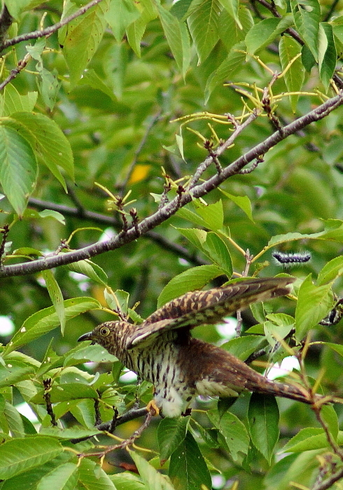 a0324247_16051535.jpg