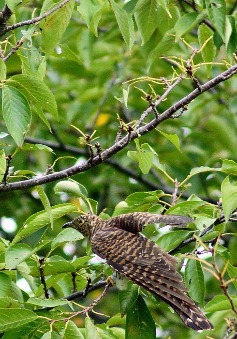 a0324247_16052667.jpg