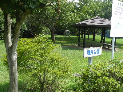 e0172950_95005.jpg