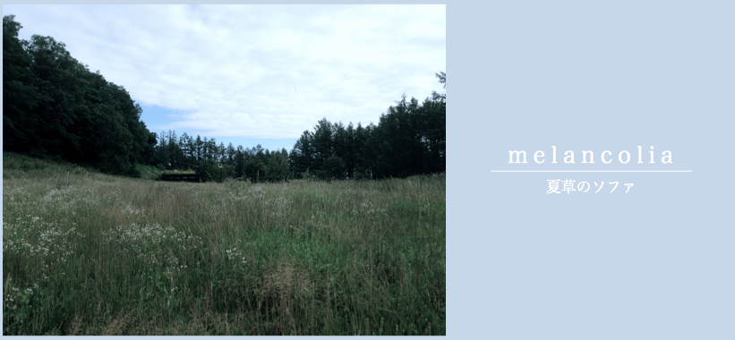 b0072051_07042162.png