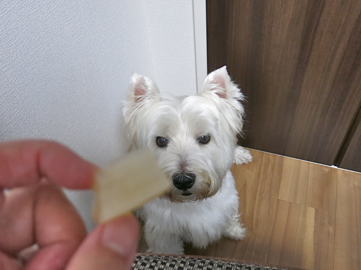 「南房総市、ありがとう」の美味しいつづき♡_c0260460_21355344.jpg