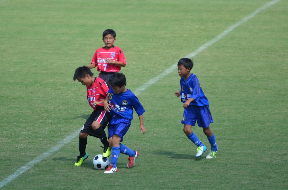 ヴィパルテCUP_f0104461_1240118.jpg