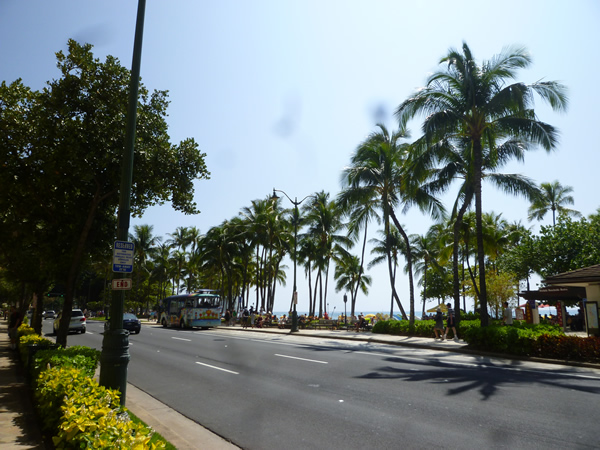 Kenny\'s Hawaiian BBQ(ケニーズ・ハワイアンバーベキュー)_c0152767_19553146.jpg