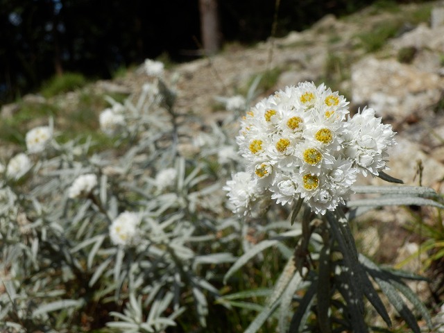 f0057070_205347.jpg
