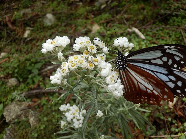 f0057070_205952.jpg