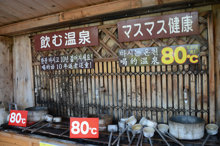 別府の定番珍スポット!何気に微妙な8カ所の地獄めぐり!_e0171573_21161520.jpg