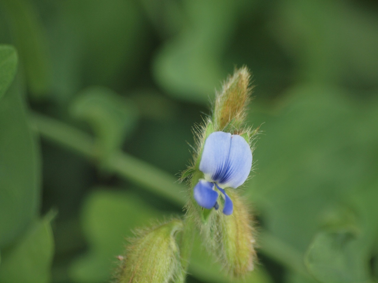 d0054276_20304049.jpg