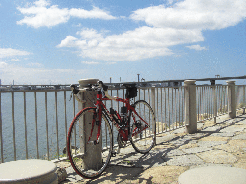 c0095679_16374215.gif
