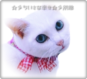 e0357082_15010016.png