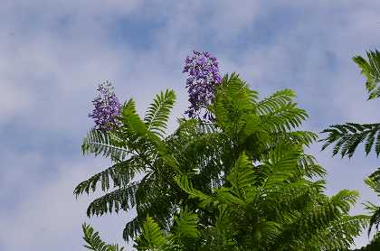 c0229483_1152932.jpg
