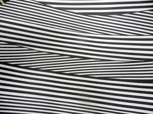 d0085887_554913.jpg
