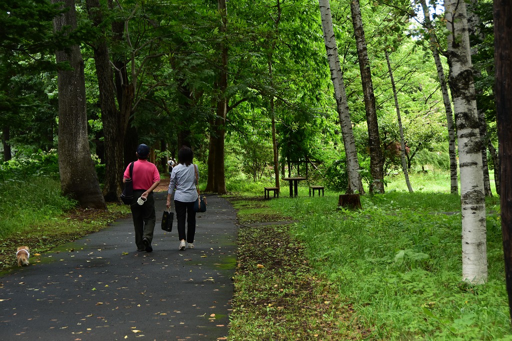 豊平公園の風景_c0240388_17353441.jpg