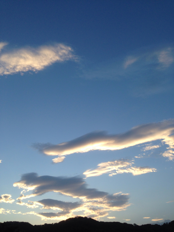 f0298891_10520180.jpg