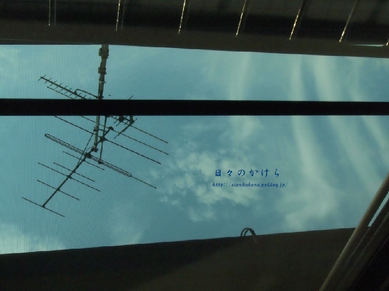 c0358500_21474856.jpg