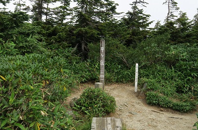 a0158702_11355514.jpg