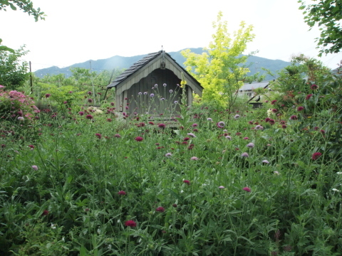 今井さんの写真講習会に行きました♪_b0331802_22504943.jpg