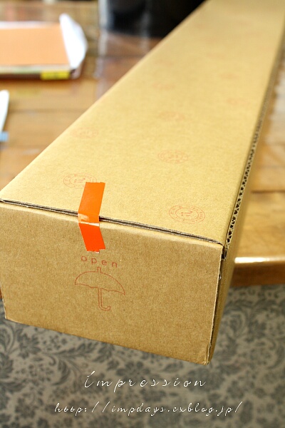 日傘届きました_a0085317_545421.jpg