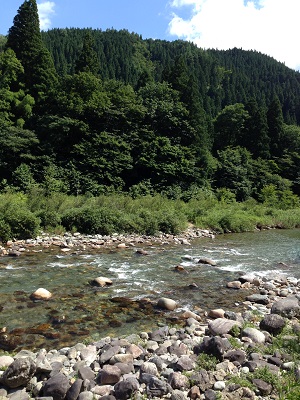 c0227720_19077.jpg
