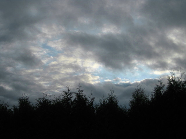 a0329935_06051646.jpg