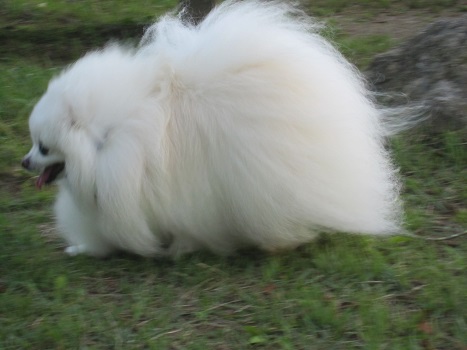 ひさしぶり~♪_b0177436_15315354.jpg