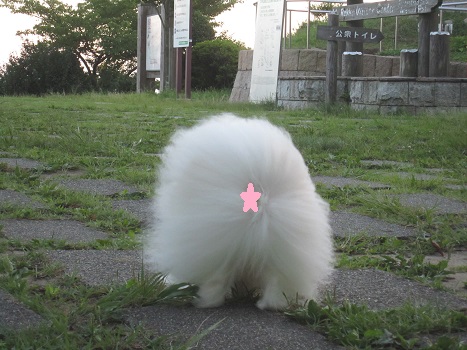 ひさしぶり~♪_b0177436_15334225.jpg