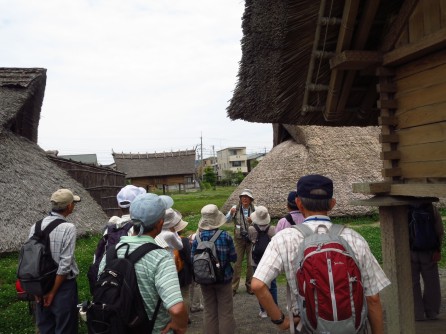 15前期 みどり学(フレッシュ)講座 登呂遺跡と三保松原野外学習 _e0211937_16165744.jpg