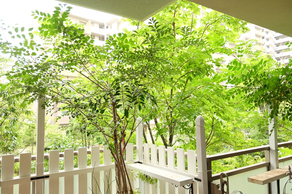 c0298740_2211415.jpg