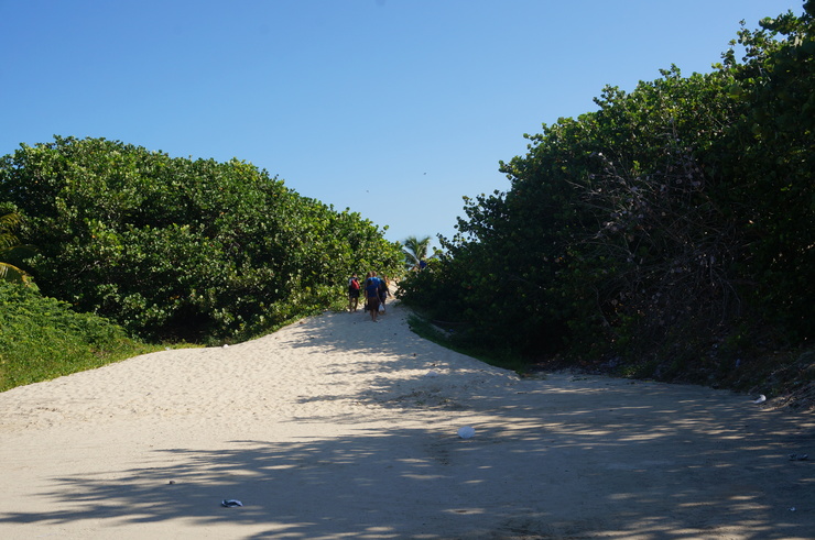 b0233441_15333179.jpg