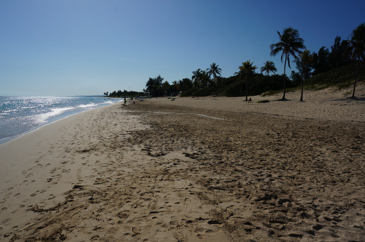 b0233441_15382446.jpg