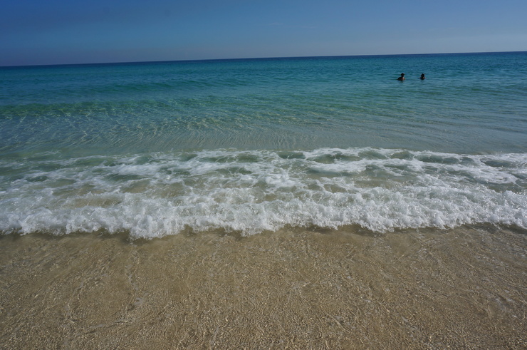 b0233441_1540157.jpg
