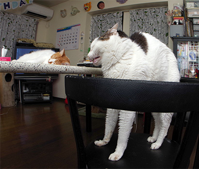 のび〜！_a0028451_12480007.jpg