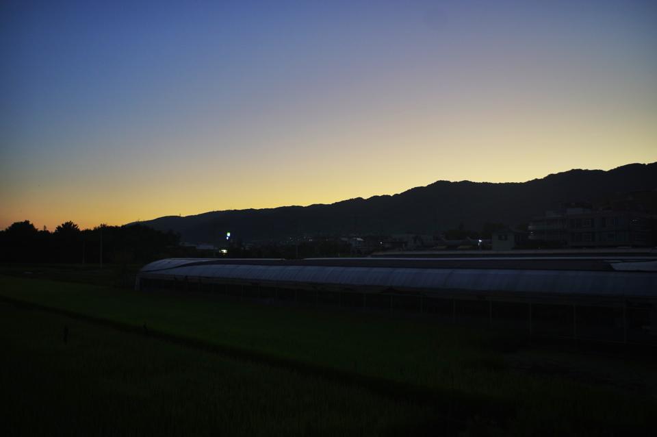 e0142357_1710152.jpg