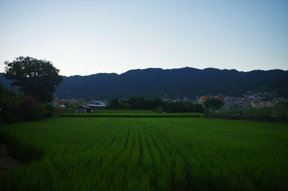 e0142357_17105172.jpg