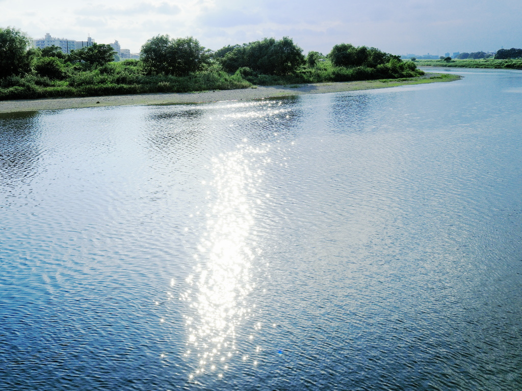 e0290358_0102888.jpg