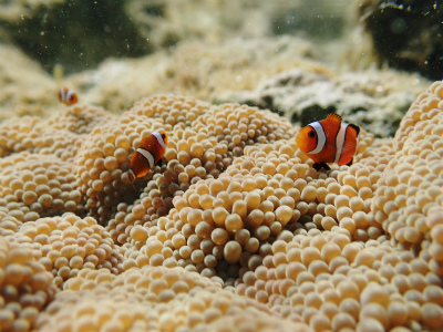 c0180460_15124416.jpg