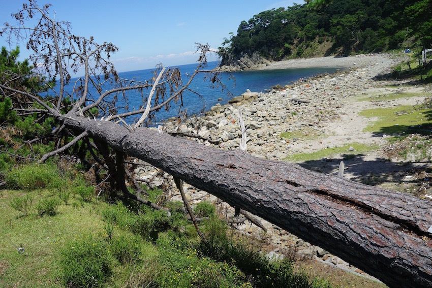 夏休みの思い出「友ヶ島」_f0134963_20165506.jpg