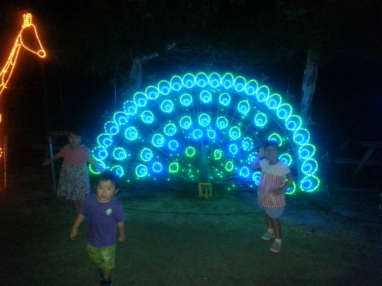 f0255165_21114680.jpg