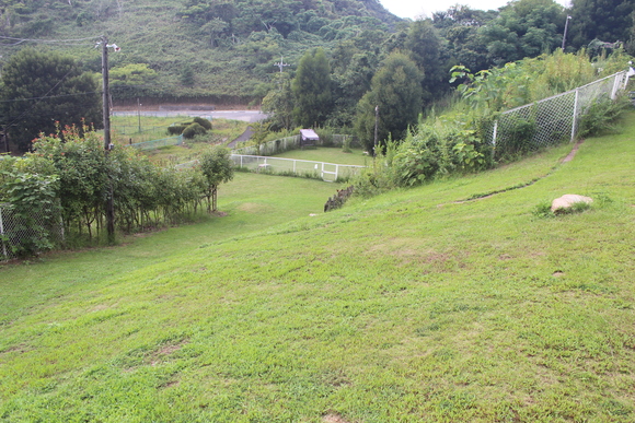 f0296165_18594158.jpg