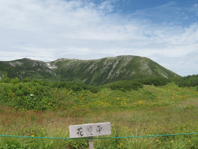 c0219866_10361432.jpg