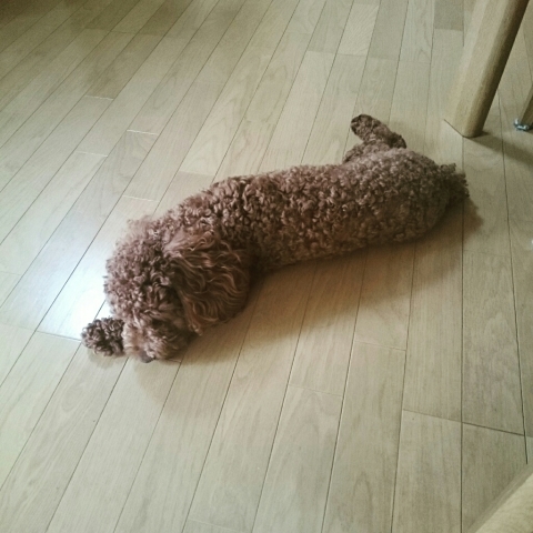 c0311170_08304598.jpg